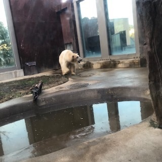 「上野動物園」
